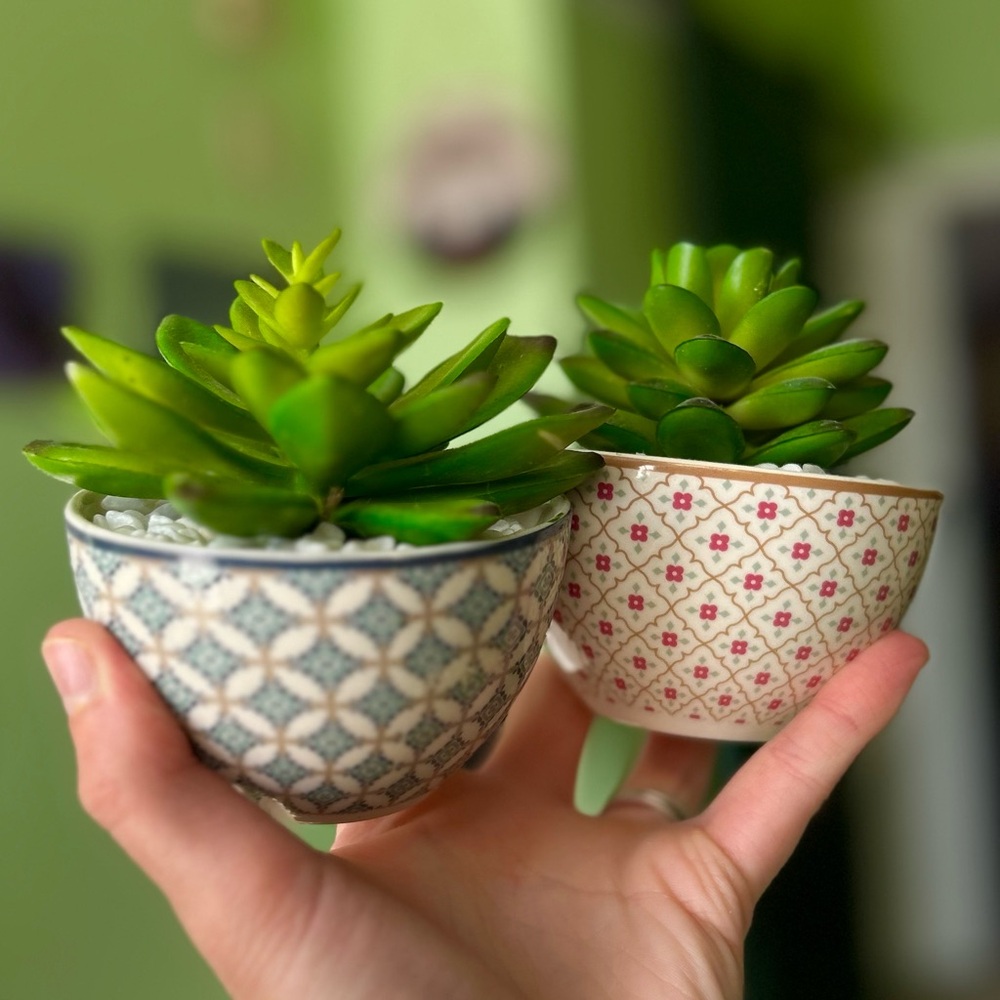 Adorable Mini Potted Faux Succulent Desert Green Plant Decor Accent Set of 2 - Picture 5 of 9